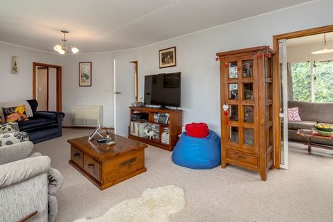 Photo of property in 45 Herbert Street, Masterton, 5810