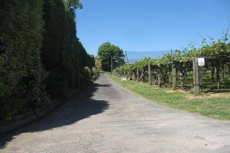 Photo of property in 244 Snodgrass Road, Te Puna, Tauranga, 3174