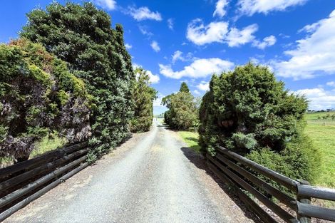 Photo of property in 1034 Pouto Road, Te Kopuru, 0391