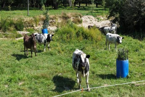 Photo of property in 927 Waiwhero Road, Ngatimoti, Motueka, 7196