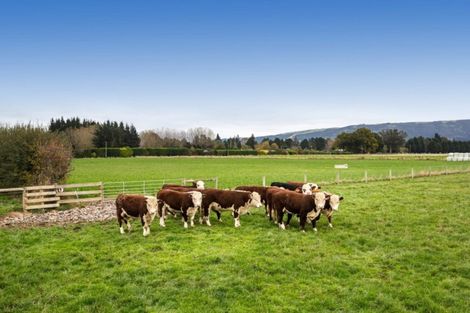 Photo of property in 101 Dukes Road North, Mosgiel, 9092
