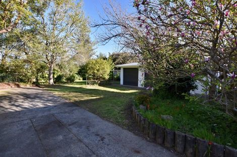 Photo of property in 21 Taverner Street, Carterton, 5713