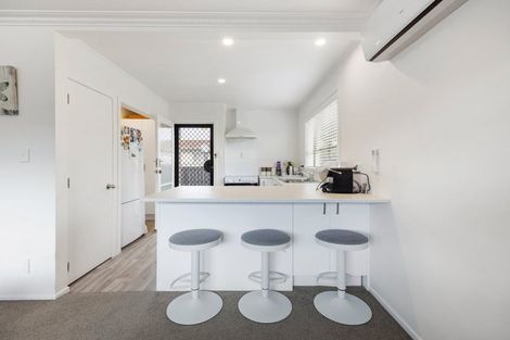 Photo of property in 58 Aurora Terrace, Hillcrest, Hamilton, 3216