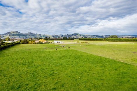 Photo of property in 255 Riccarton Road West, Mosgiel, 9092