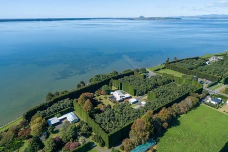 Photo of property in 299 Beach Road, Katikati, 3178