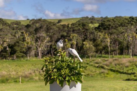 Photo of property in 463 Fordyce Road, Helensville, 0874