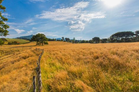 Photo of property in 81 Upper Wainui Road, Raglan, 3297