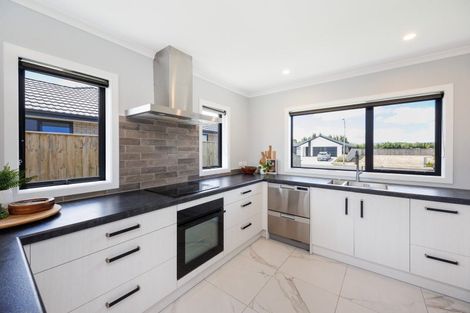 Photo of property in 43 Accolade Street, Feilding, 4702