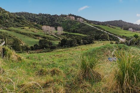 Photo of property in 88 Waere Valley Lane, Warkworth, 0981