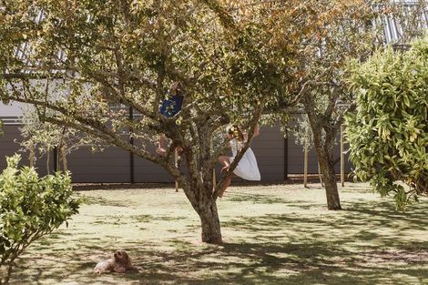 Photo of property in 366 Frankley Road, Ferndale, New Plymouth, 4310