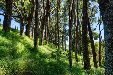 Photo of property in 359ra Kaitemako Road, Welcome Bay, Tauranga, 3175