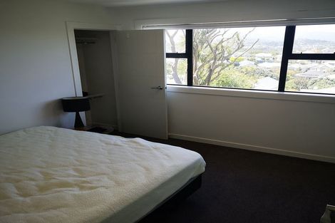 Photo of property in 93 Rakau Road, Hataitai, Wellington, 6021