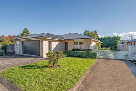 Photo of property in 45b Costley Street, Carterton, 5713
