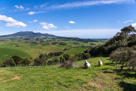 Photo of property in 176 Maungatawhiri Road, Raglan, 3295