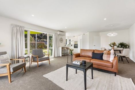 Photo of property in 17 Hunt Place, Albert Town, Wanaka, 9305