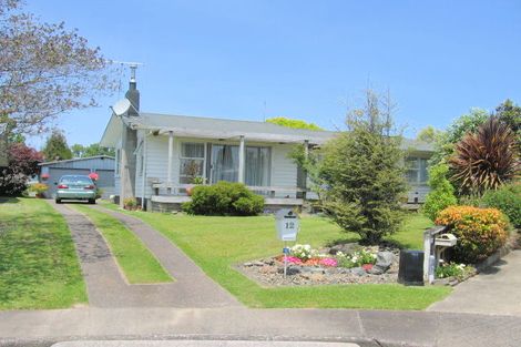 Photo of property in 12 Mace Crescent, Otorohanga, 3900