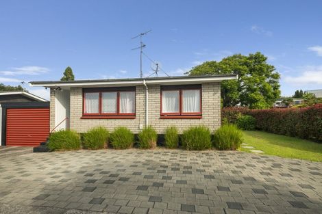 Photo of property in 7 Lorna Place, Brookfield, Tauranga, 3110