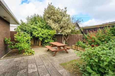 Photo of property in 459 College Street, Hokowhitu, Palmerston North, 4410