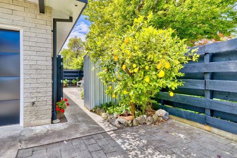 Photo of property in 1/205 Knight Street, Hastings, 4122