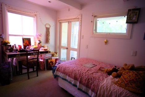 Photo of property in 17 Douglas Street, Mount Cook, Wellington, 6021