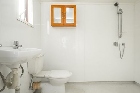 Photo of property in 65 Brookfield Street, Hamilton East, Hamilton, 3216
