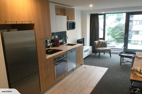 Photo of property in Vsp South, 504/166u Victoria Street, Te Aro, Wellington, 6011
