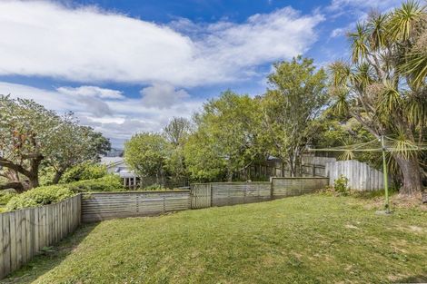 Photo of property in 17 Mitchell Street, Brooklyn, Wellington, 6021