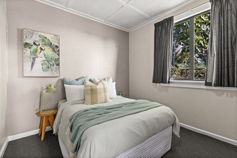 Photo of property in 907a Lyell Street, Akina, Hastings, 4122