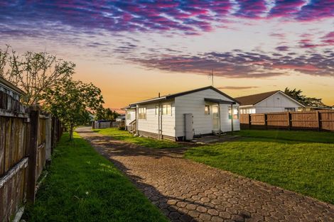 Photo of property in 26 Hinerau Street, Henderson, Auckland, 0612