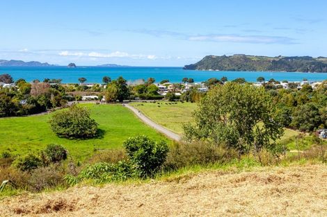 Photo of property in 925a Purangi Road, Cooks Beach, Whitianga, 3591