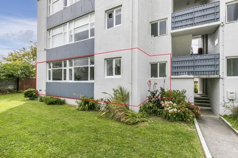 Photo of property in Mattingly Court, 10u2 Angus Avenue, Berhampore, Wellington, 6023