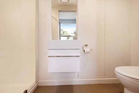 Photo of property in 24u3 Princess Terrace, Newtown, Wellington, 6021