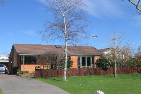 Photo of property in 50 Seventeenth Avenue, Tauranga South, Tauranga, 3112