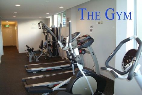 Photo of property in 53 Cook Street, Hamilton East, Hamilton, 3216