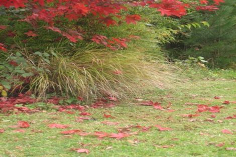 Photo of property in 29 East Grampian Street, Tokoroa, 3420