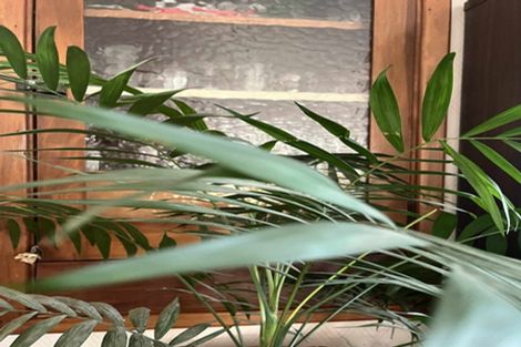 Photo of property in 59 Avon Road, Pokeno, 2471