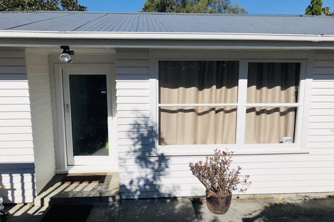 Photo of property in 35 Parker Avenue, New Lynn, Auckland, 0600