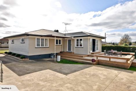 Photo of property in 228 North Street, Te Awamutu, 3800