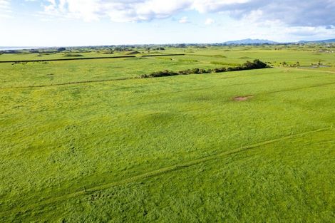 Photo of property in 306 Pungarehu Road, Pungarehu, 4685