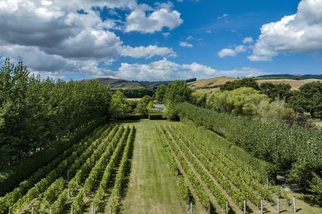 Photo of property in 41 Vineyard Lane, Waipara, 7483