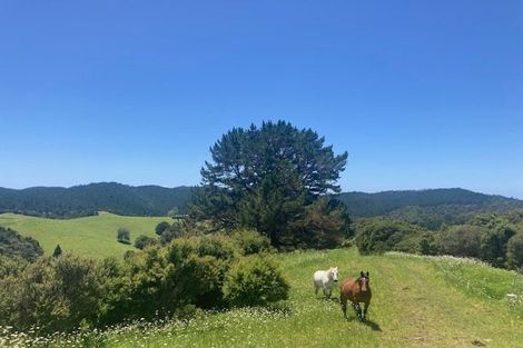 Photo of property in 101 Pukenui Road, Ngunguru, Whangarei, 0173