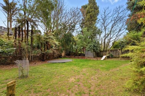 Photo of property in 17 Harrier Street, Parkvale, Tauranga, 3112