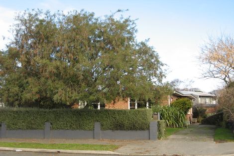 Photo of property in 62 Springfield Road, St Albans, Christchurch, 8014
