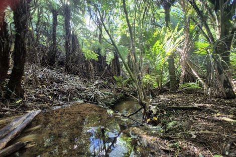 Photo of property in 1797 Colville Road, Amodeo Bay, Coromandel, 3584