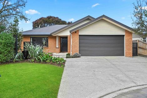 Photo of property in 19 Mickelson Avenue, Rototuna, Hamilton, 3210