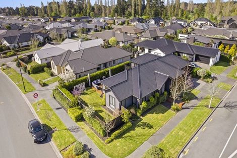 Photo of property in 42 Te Rito Street, Marshland, Christchurch, 8083