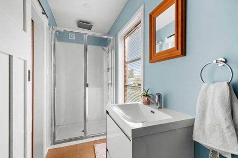 Photo of property in 810 Dufferin Street, Akina, Hastings, 4122