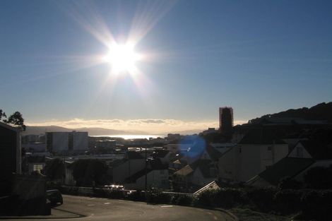 Photo of property in 41 Hankey Street, Mount Cook, Wellington, 6011