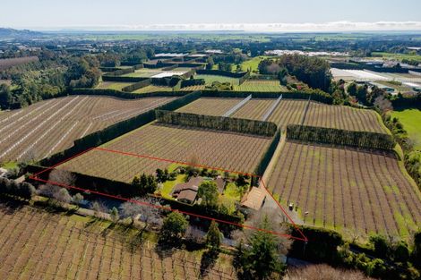 Photo of property in 26 Cheetham Avenue, Te Puke, 3182