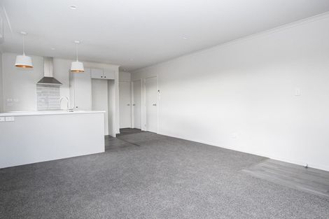 Photo of property in 18u3 Rothwell Street, Dinsdale, Hamilton, 3204